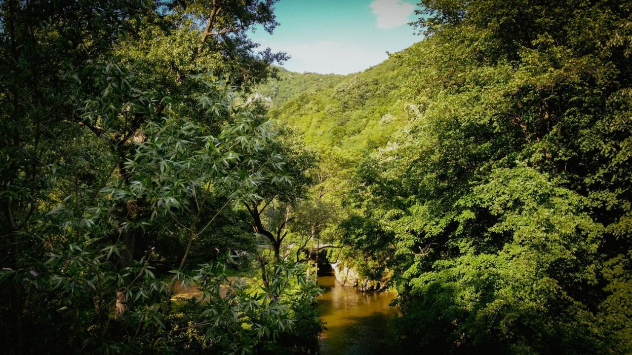 فندق Restoran Sa Prenocistem Gornjak Krepoljin المظهر الخارجي الصورة